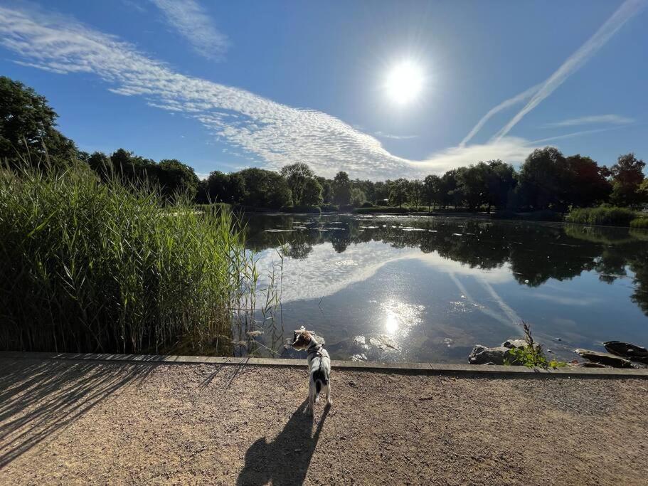 Ferienwohnung Am Glockensee Bad Laer Buitenkant foto